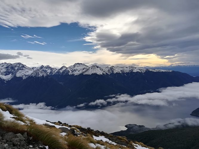Kepler Track